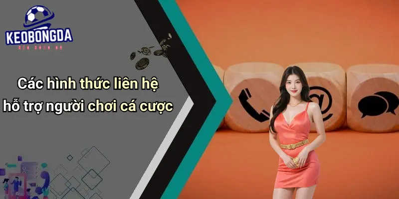 Liên hệ 2 Liên Hệ