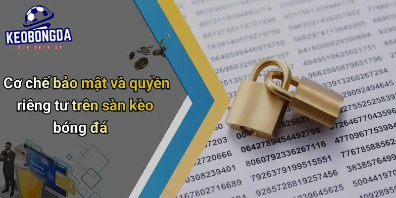 quyền riêng tư 2 Quyền Riêng Tư