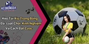 Kèo Tài Xỉu Trong Bóng Đá: Luật Chơi, Kinh Nghiệm Và Cách Đặt Cược 4 Kèo Tài Xỉu Trong Bóng Đá