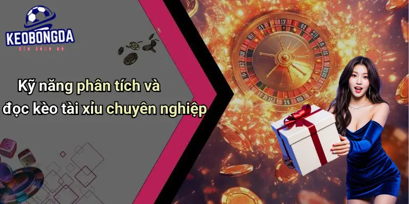 Kèo Tài Xỉu Trong Bóng Đá: Luật Chơi, Kinh Nghiệm Và Cách Đặt Cược 2 Kèo Tài Xỉu Trong Bóng Đá