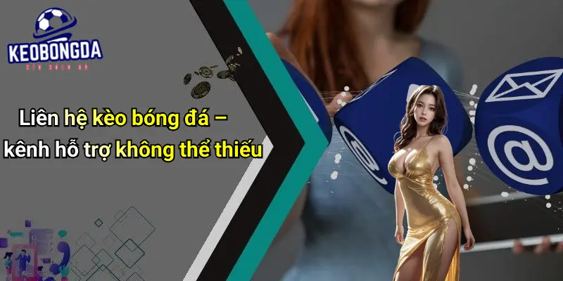 Liên hệ 1 Liên Hệ