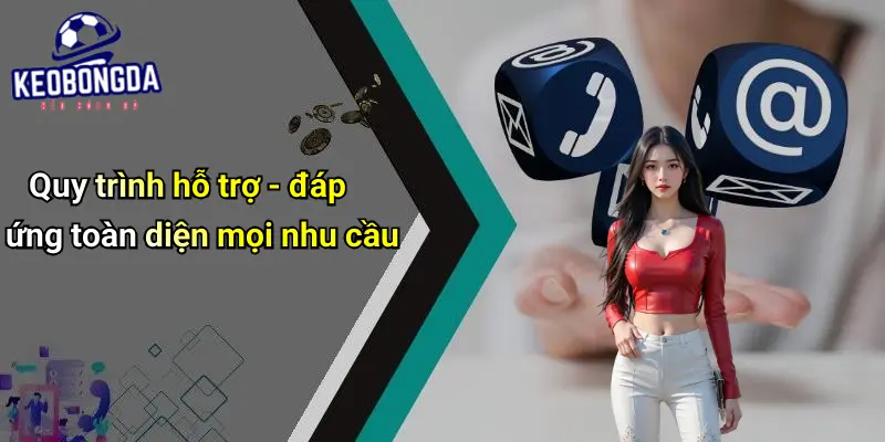 Liên hệ 3 Liên Hệ