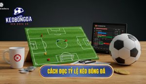 Cách đọc tỷ lệ kèo bóng đá