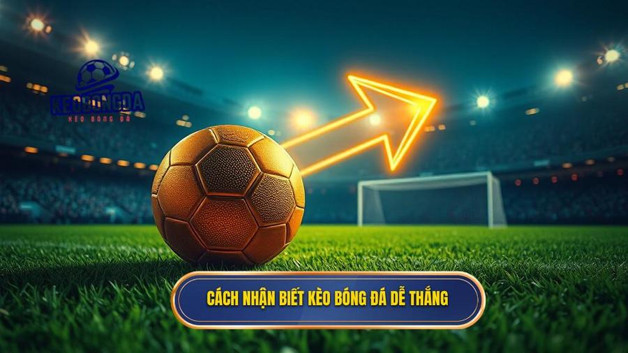 Kèo bóng đá dễ thắng: Bí quyết đọc vị nhà cái và chiến thuật cá cược đỉnh cao 1 Thế nào là một kèo bóng đá dễ thắng?