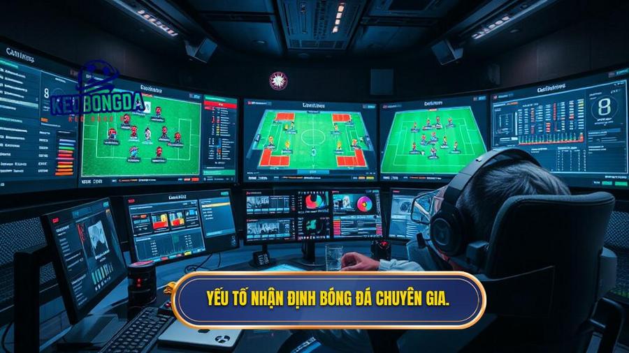 Yếu tố nhận định bóng đá chuyên gia.
