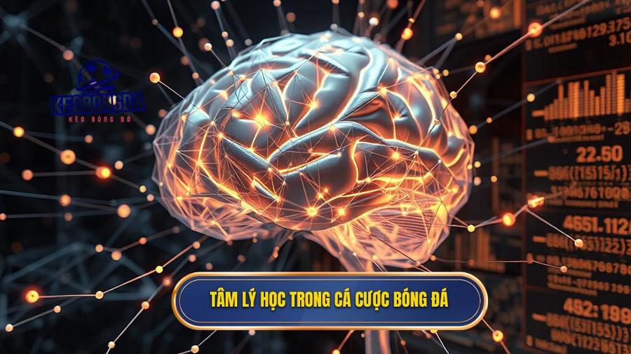 Tâm lý học trong cá cược bóng đá