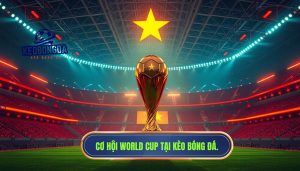 Việt Nam có cơ hội dự World Cup không? Phân tích chuyên sâu từ góc nhìn chuyên gia