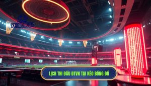 Lịch thi đấu đội tuyển Việt Nam mới nhất: Hành trình chinh phục những đỉnh cao mới